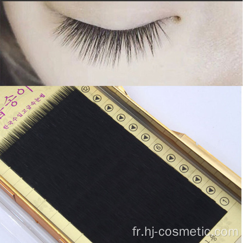 marque de commerce extensions de cils faux vison vente en gros de soie naturelle boby straight Cultiver des faux cils de vison faux